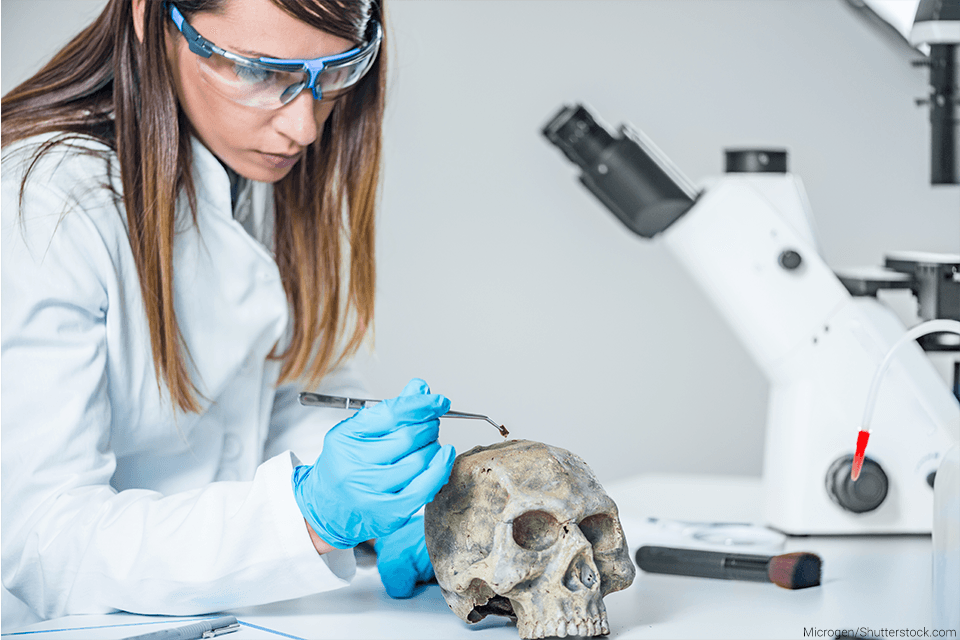 female scientist examining a skull 