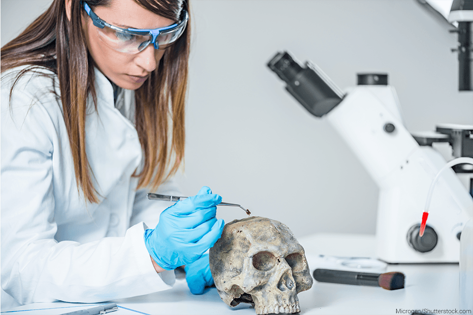 anthropology.png female scientist examining a skull